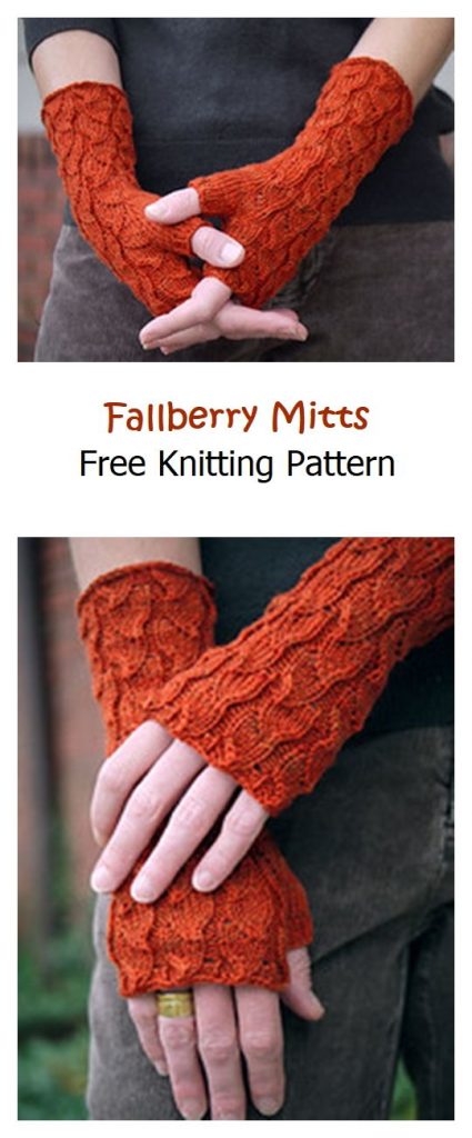 Fallberry Mitts Free Knitting Pattern
