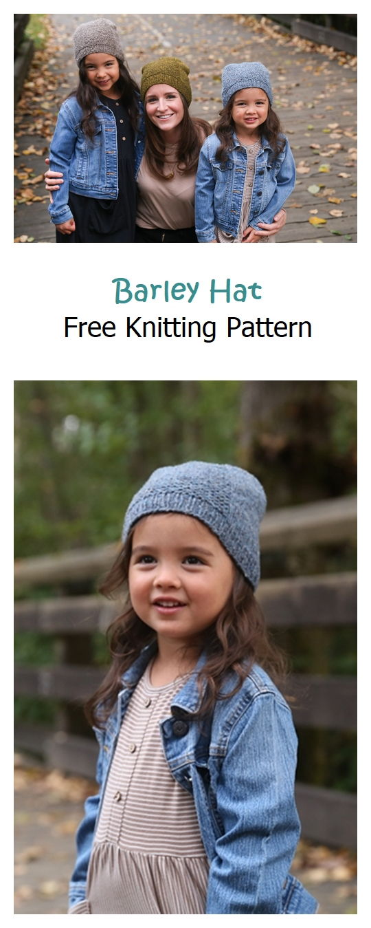 Barley Hat Free Knitting Pattern – Knitting Projects