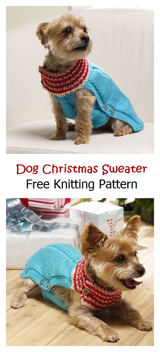 Holiday Dog Christmas Sweater Free Pattern – Knitting Projects