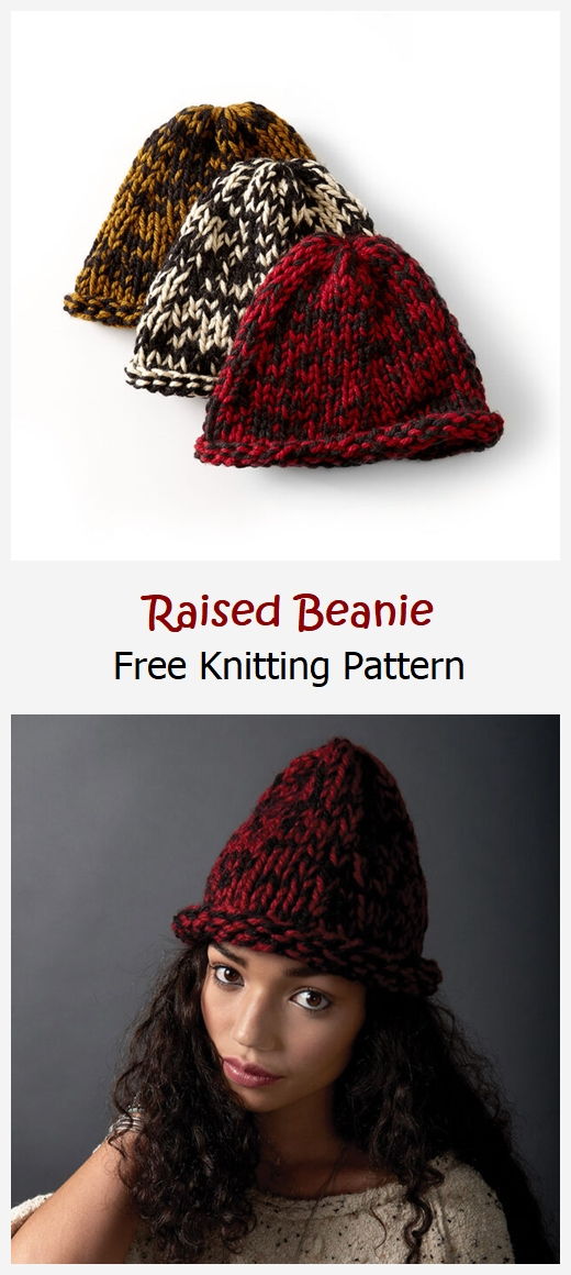 Raised Beanie Free Knitting Pattern – Knitting Projects